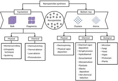 Phyto-fabricated Nanoparticles and Their Anti-biofilm Activity: Progress and Current Status